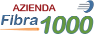 Fibra AZIENDA 1000