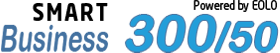 smart Business 300 50